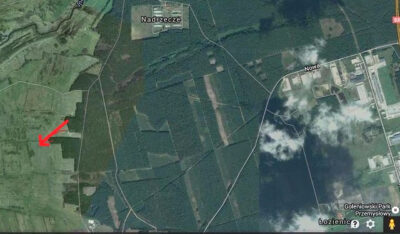 Działka 3167 m2 blisko lasu
