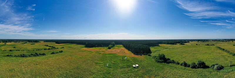 Działka 3167 m2 blisko lasu