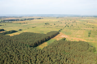 Działka 3167 m2 blisko lasu