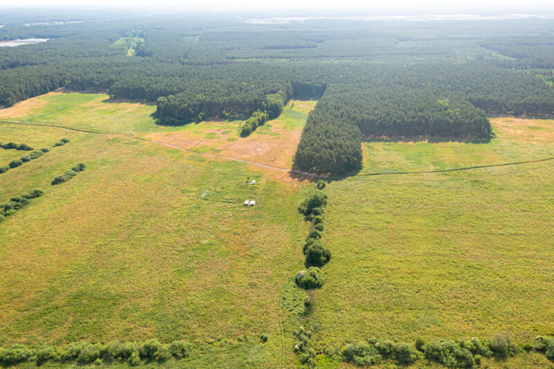 Działka 3167 m2 blisko lasu