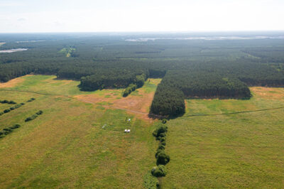 Działka 3167 m2 blisko lasu