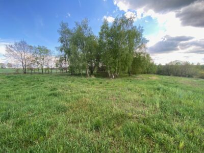 Działka 6700 m2 w Rogowie 17 km od Stargardu