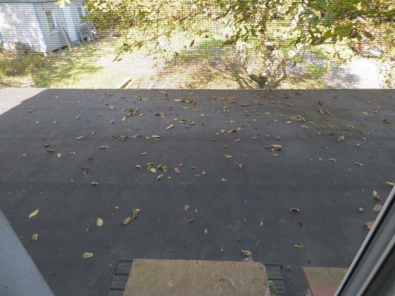 Stobno obiekt 430 m2 na działce 4000 m2