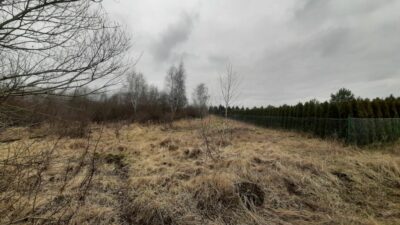 Działka 3000 pod zabudowę siedliskową