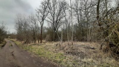 Działka 3000 pod zabudowę siedliskową