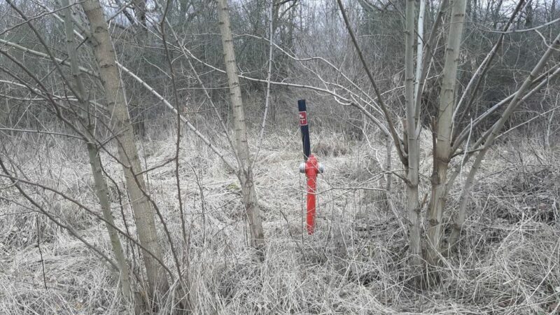 Działka 3000 pod zabudowę siedliskową