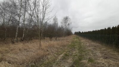Działka 3000 pod zabudowę siedliskową