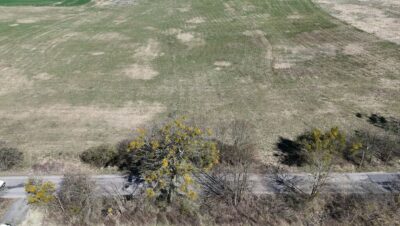 Działka Buk !!! 13579 m2 !!!
