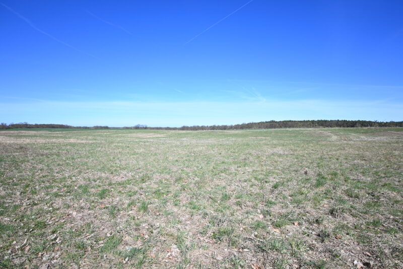 Działka Buk !!! 13579 m2 !!!