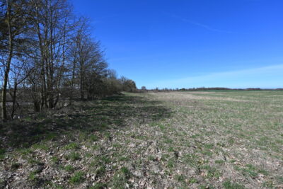 Działka Buk !!! 13579 m2 !!!