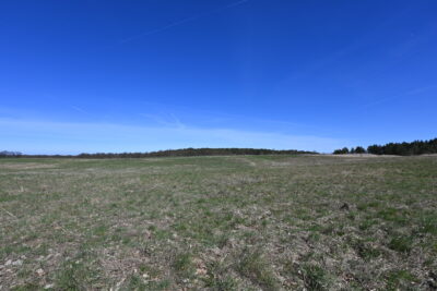 Działka Buk !!! 13579 m2 !!!