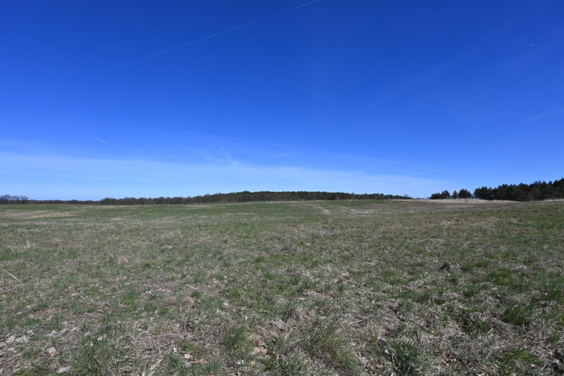 Działka Buk !!! 13579 m2 !!!