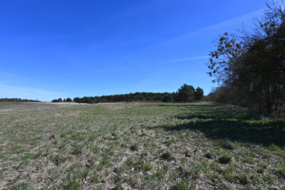 Działka Buk !!! 13579 m2 !!!