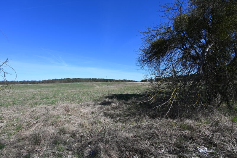 Działka Buk !!! 13579 m2 !!!