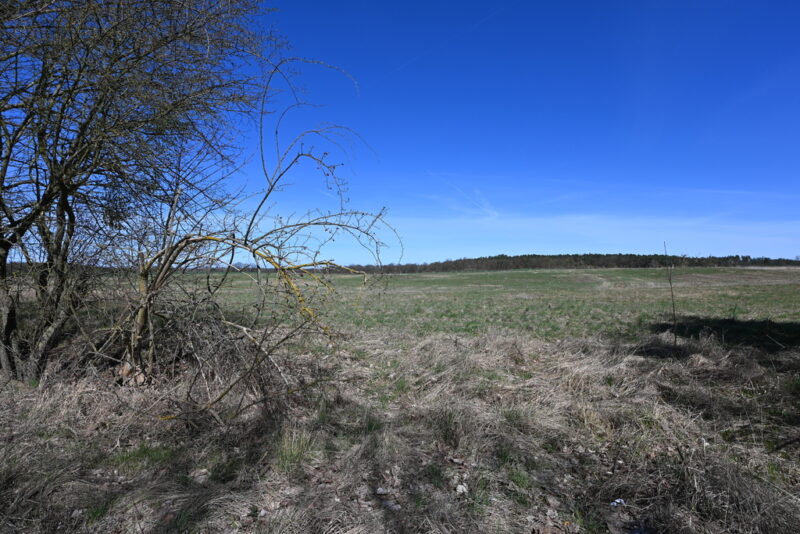 Działka Buk !!! 13579 m2 !!!
