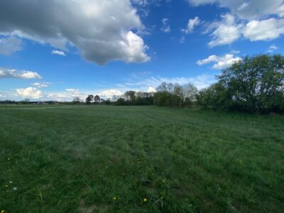 Działka 1575 m2 w Żarowie 5 km od Stargardu