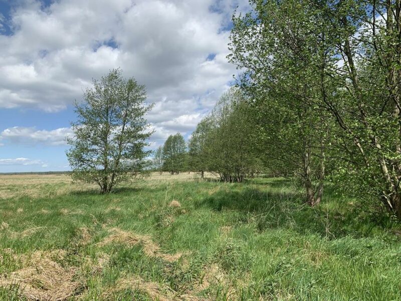 Działka w Kliniskach