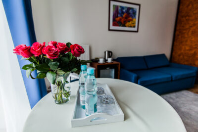 Obiekt hotelowy w urokliwej miejscowości !!!!!