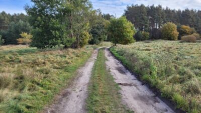 Warnowo Działka z planem zagospodarowania