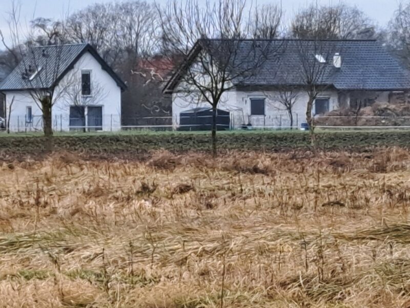 Cisza, spokój i zieleń-działka na skraju Dobrej