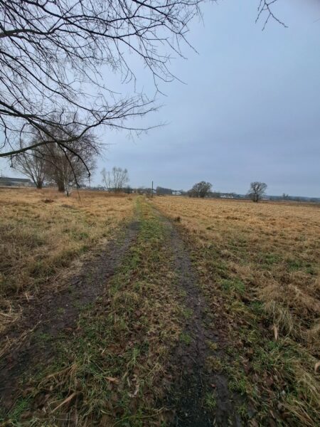 Cisza, spokój i zieleń-działka na skraju Dobrej