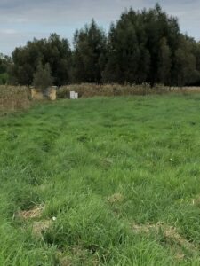 Cisza, spokój i zieleń-działka na skraju Dobrej