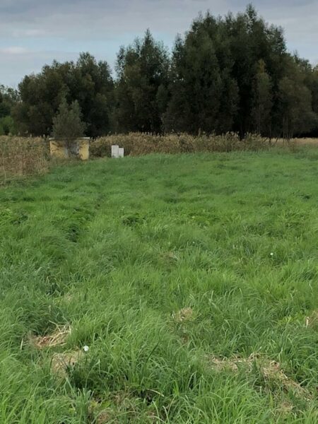 Cisza, spokój i zieleń-działka na skraju Dobrej