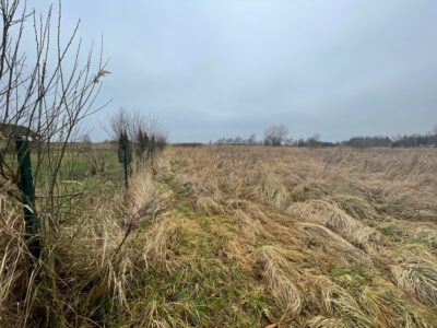 Działka inwestycyjna przy jeziorze Dąbie