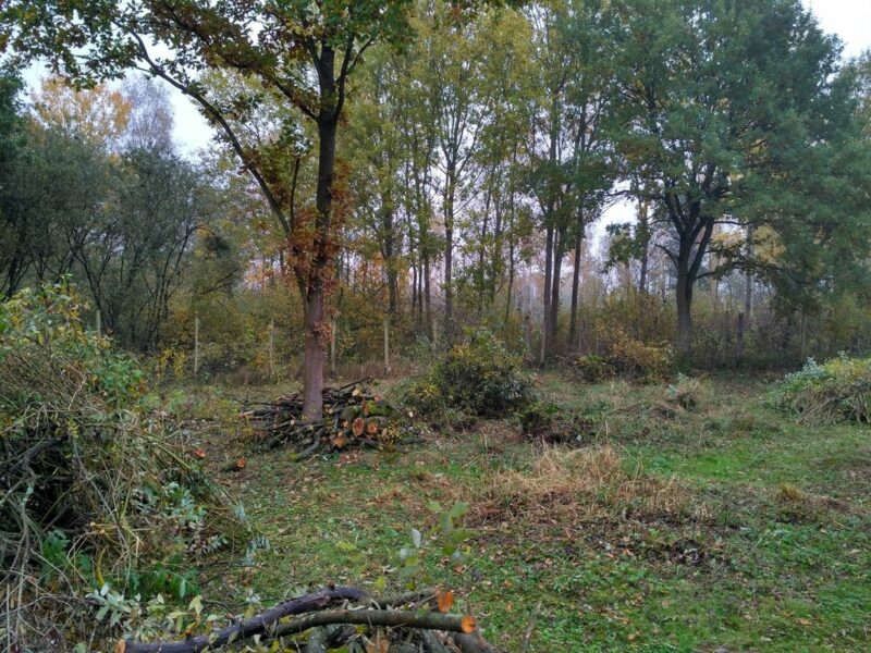 Działka budowlana 15 km od Dziwnówka