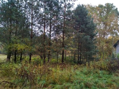 Działka budowlana 15 km od Dziwnówka