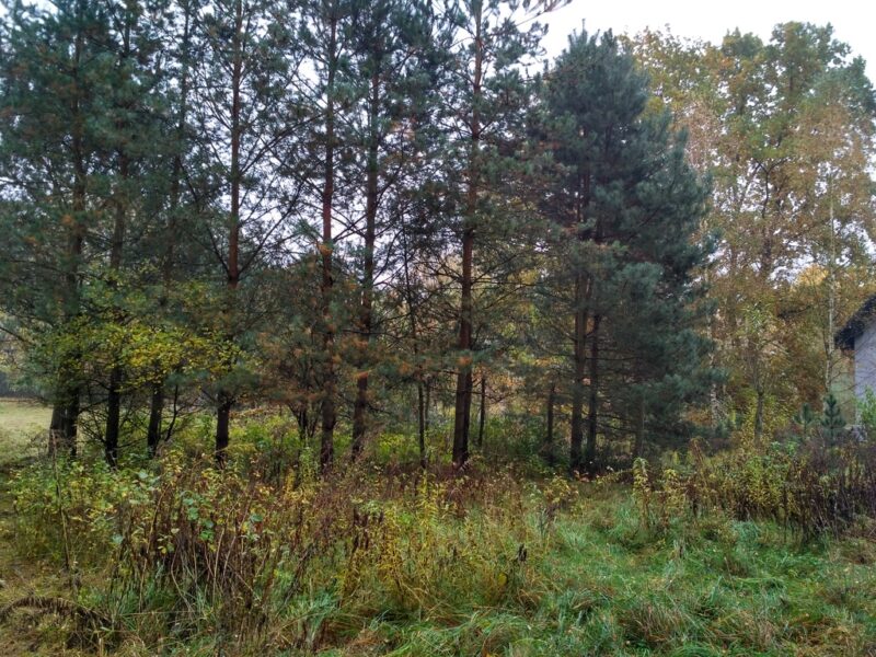 Działka budowlana 15 km od Dziwnówka