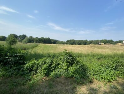 ostatnie działki_Atrakcyjna działka Glinna