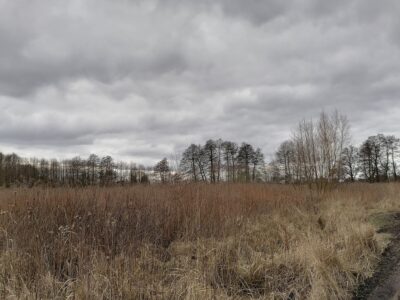 Szczecin-Dąbie, atrakcyjna działka inwestycyjna