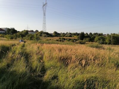 Mierzyn, działka 3008 m2, media w drodze
