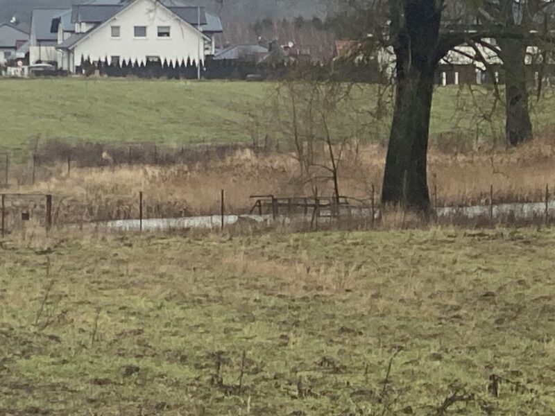 Działka Mierzyn ul. Ozdobna 1177m2.