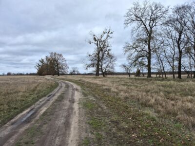 Łęgi - działka 3060 m2