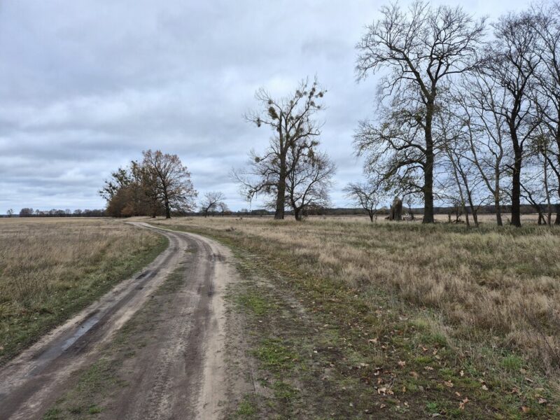 Łęgi - działka 3060 m2