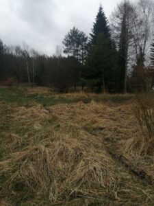 Działka 1100 m2,Stawno,pod lasem