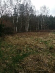 Działka 1100 m2,Stawno,pod lasem