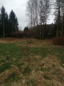Działka 1100 m2,Stawno,pod lasem