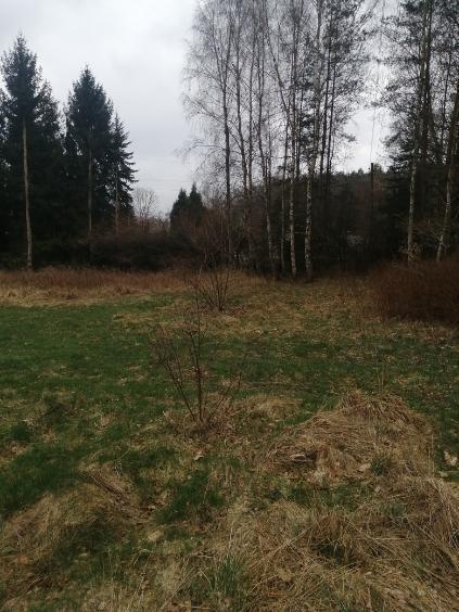 Działka1099m2,Stawno,gm.Goleniów,pod lasem.