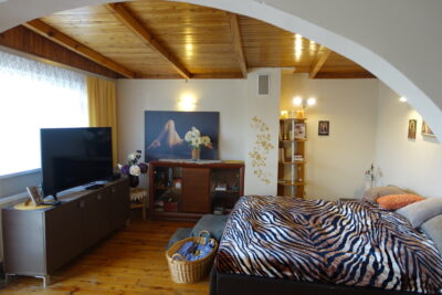 Tanowo hale 849 m2 plus dom 89 m2