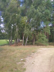 Działka Tanowo,0.3362ha,plan miejsc.-rolna.