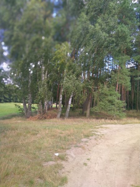 Działka Tanowo,0.3362ha,plan miejsc.-rolna.
