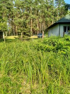 Działka Tanowo,0.3362ha,plan miejsc.-rolna.