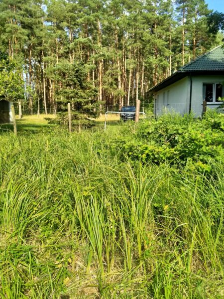 Działka Tanowo,0.3362ha,plan miejsc.-rolna.