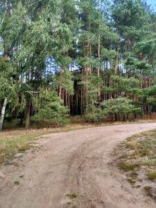 Działka Tanowo,0.3144ha,plan zagospod.-rolna.