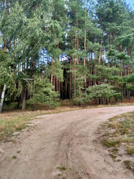 Działka Tanowo,0.3144ha,plan zagospod.-rolna.