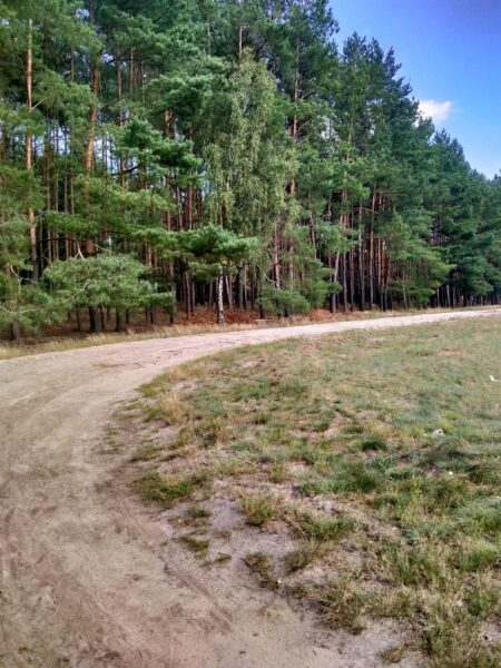 Działka Tanowo,0.3144ha,plan zagospod.-rolna.