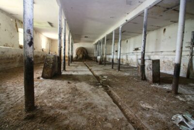 Budynek gospodarczy z dużą działką–Koło Stargardu